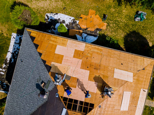 Best Metal Roofing Contractor  in Courtland, VA